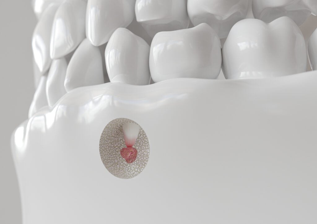 - Todd Curley DDS